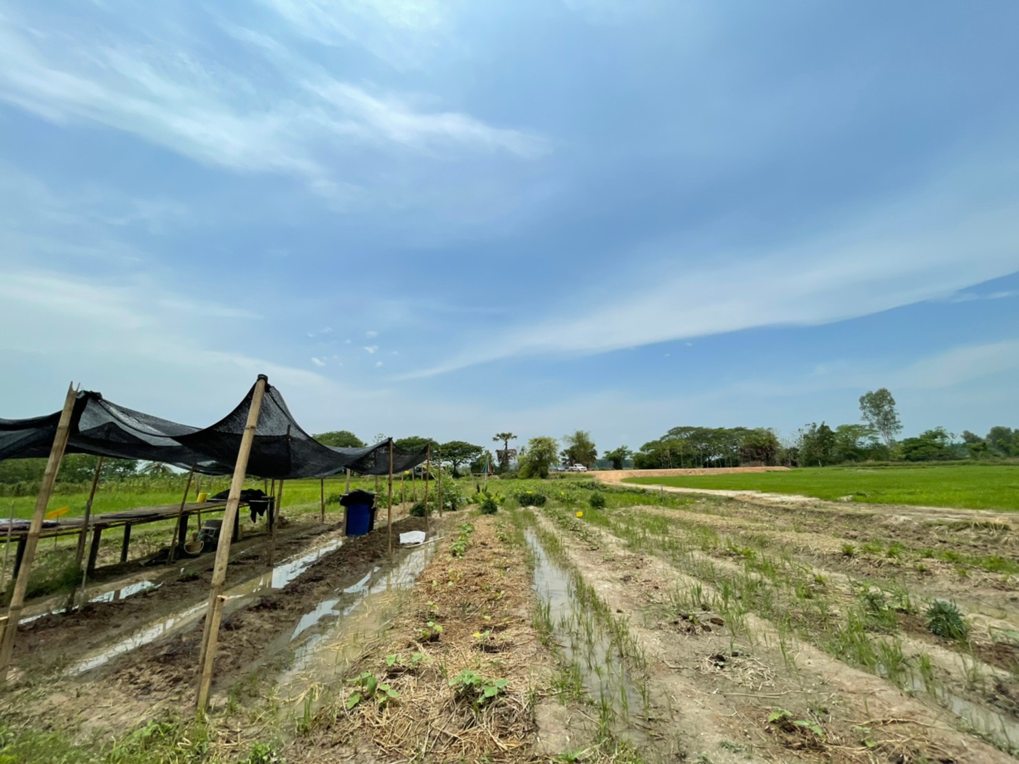 คลังจังหวัดลำปาง ลงพื้นที่ติดตามเร่งรัดการใช้จ่ายเงินภาครัฐ ประจำปีงบประมาณ พ.ศ. 2564