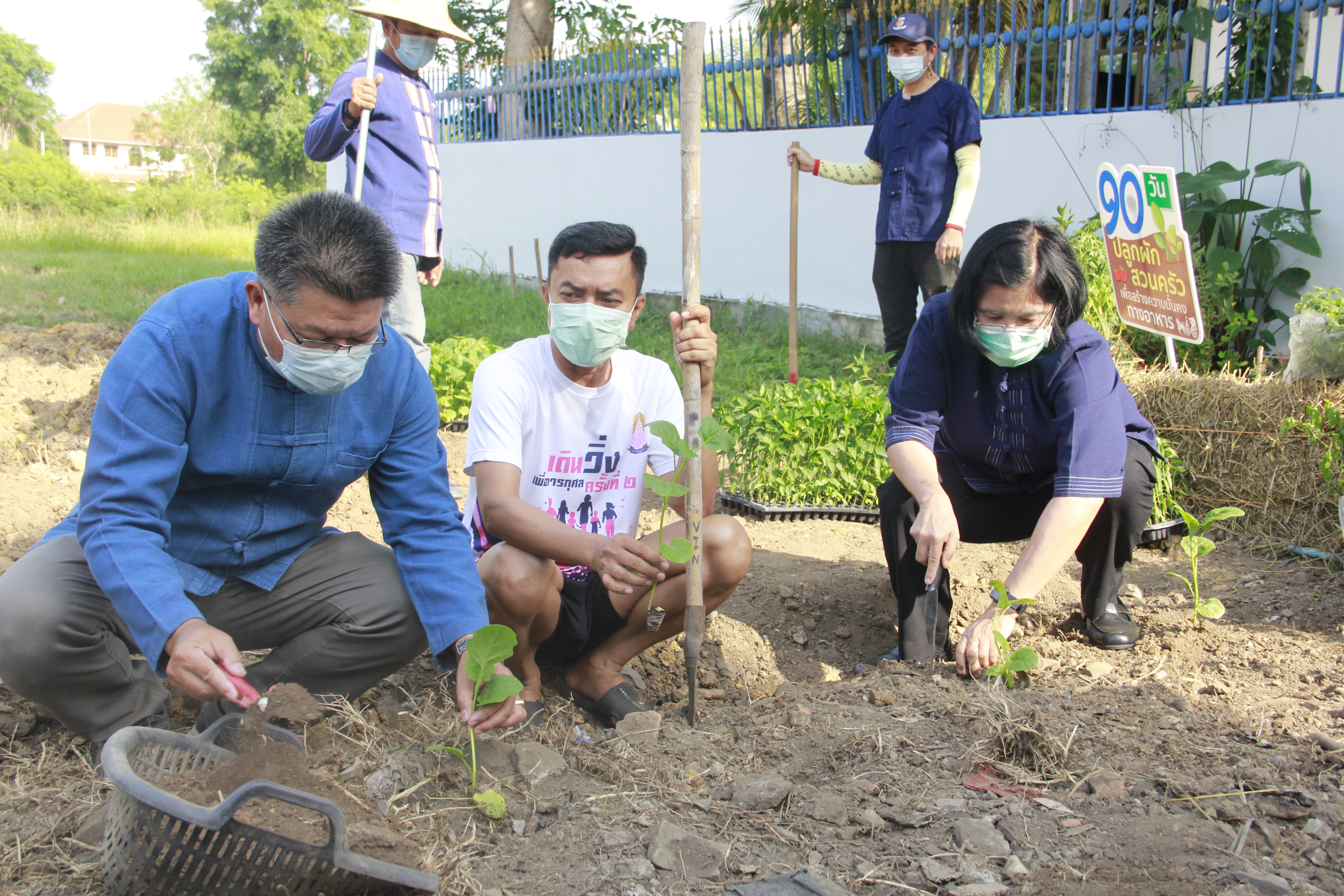 พช.ลำปางจัดกิจกรรม “ปลูกพืช ปลูกผัก ปลูกรัก กับ พช.” : “ผู้นำต้องทำก่อน”