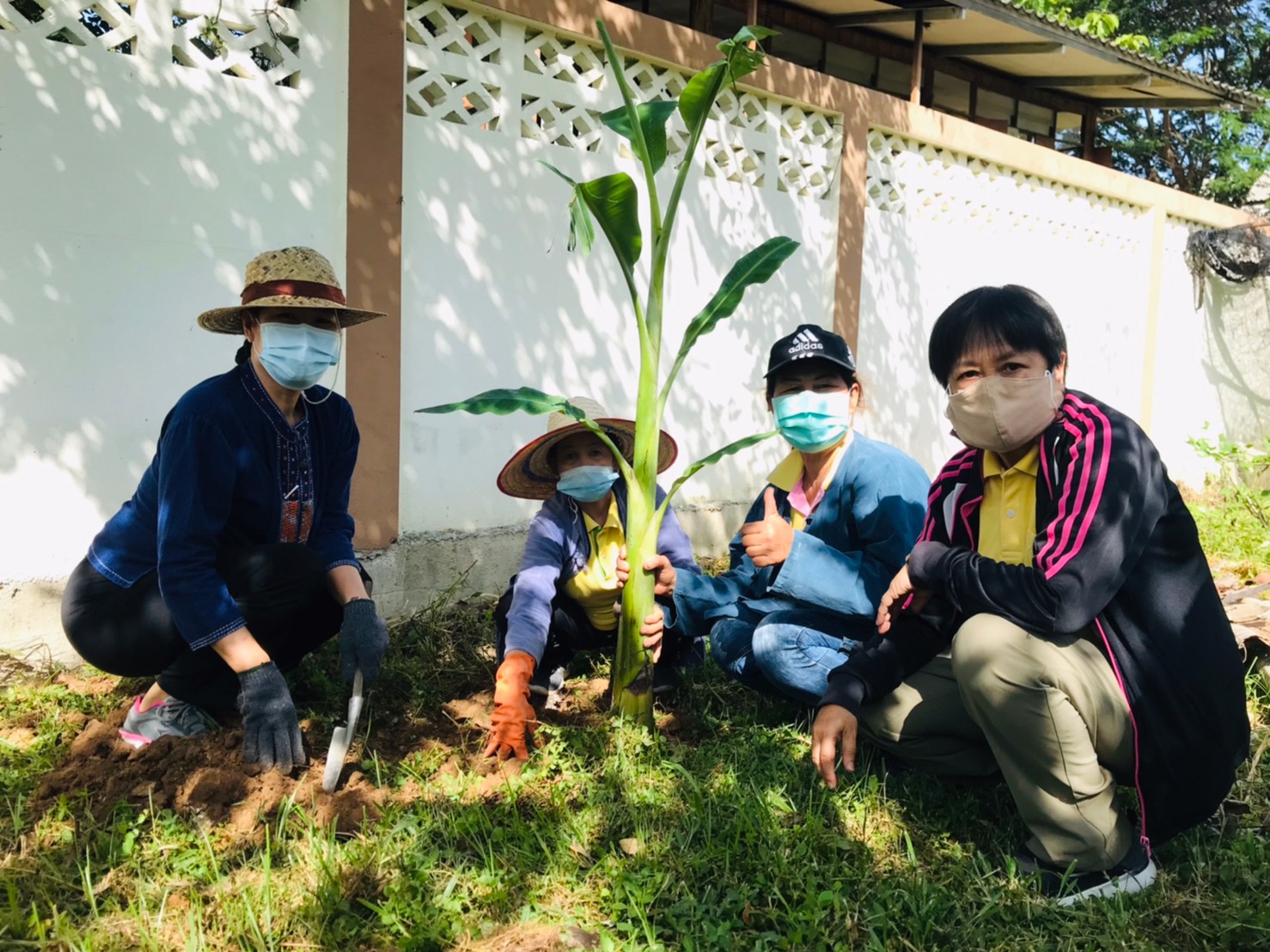 พช.ลำปางดำเนินกิจกรรม “ปลูกพืช ปลูกผัก ปลูกรัก กับ พช.” , “ผู้นำต้องทำก่อน” และ กิจกรรม “ถนนกินได้” ในพื้นที่  3 อำเภอ