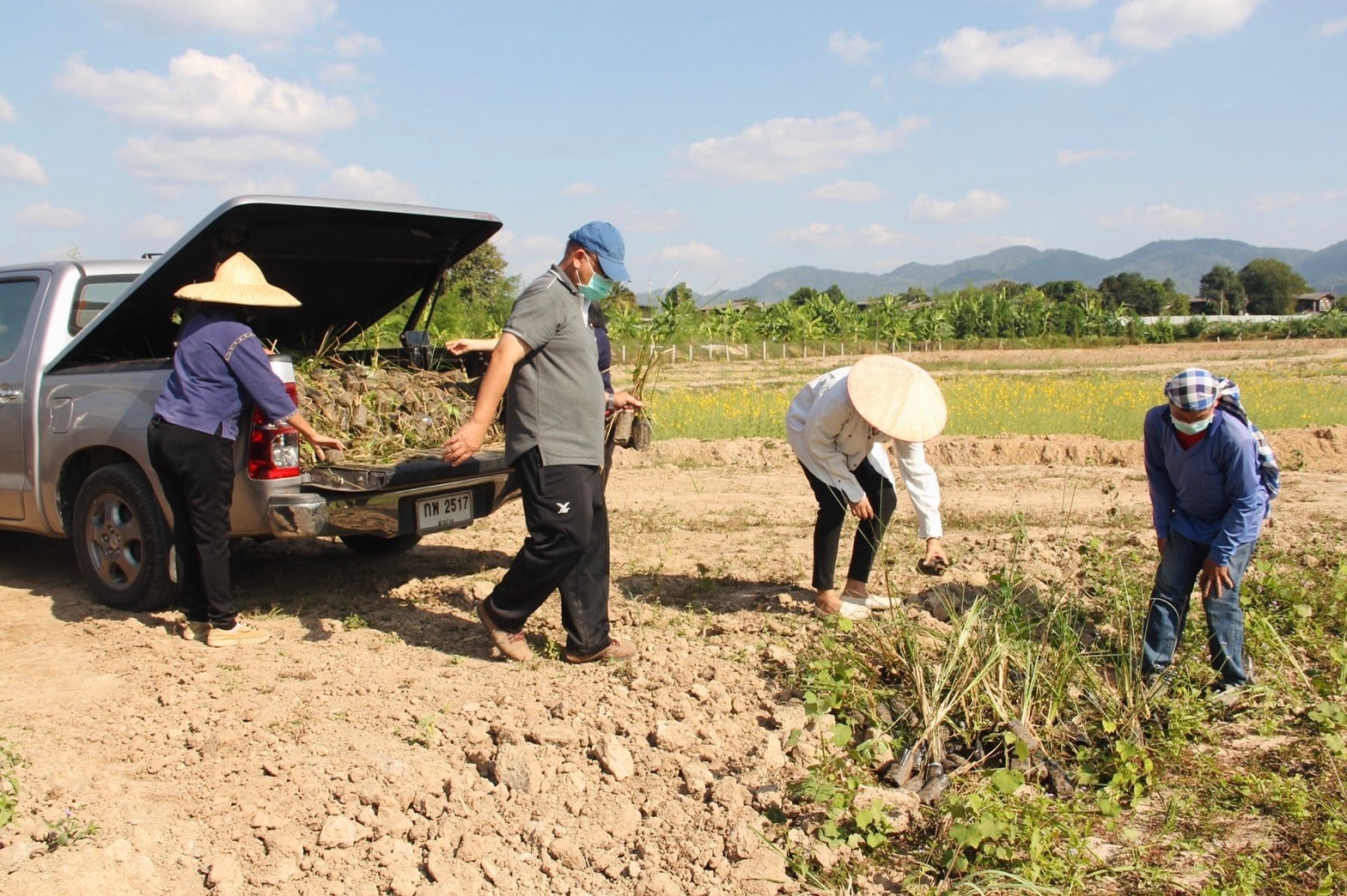พช. ลำปาง  เตรียมพื้นที่ จัดงานวันดินโลก (World Soil Day)