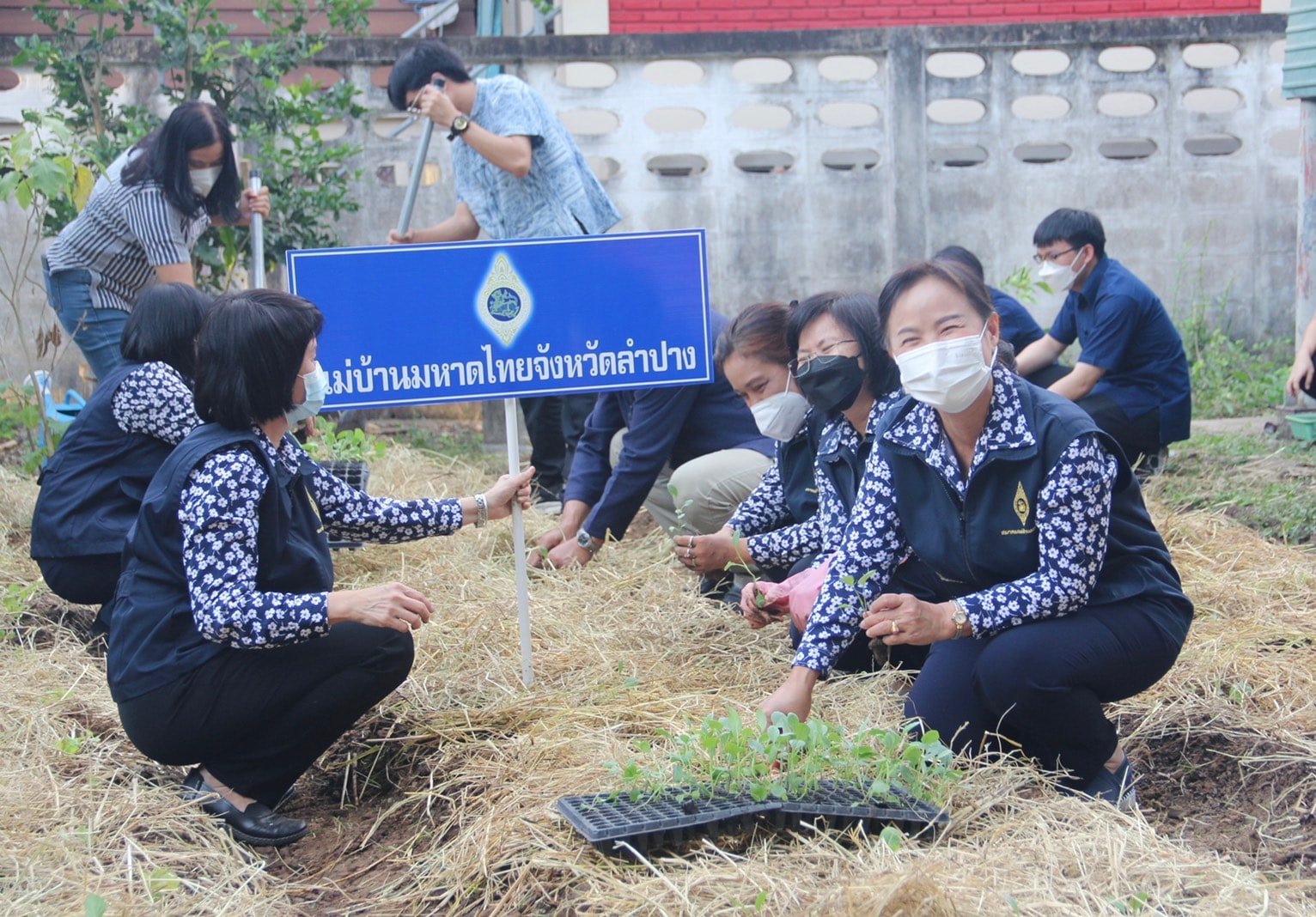 พช.ลำปาง  ร่วมกับแม่บ้านมหาดไทย เปิดจวนผู้ว่าฯ ปลูกผักสวนครัวเพื่อสร้างความมั่นคงทางอาหาร