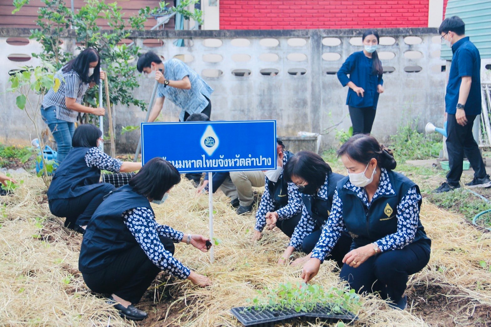 พช.ลำปาง  ร่วมกับแม่บ้านมหาดไทย เปิดจวนผู้ว่าฯ ปลูกผักสวนครัวเพื่อสร้างความมั่นคงทางอาหาร