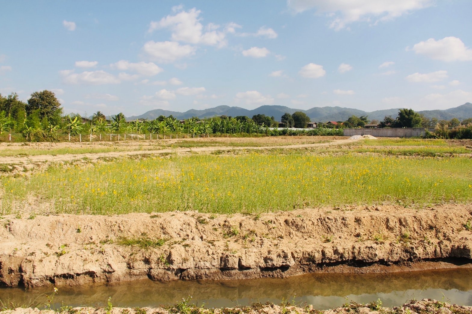 พช. ลำปาง  เตรียมพื้นที่ จัดงานวันดินโลก (World Soil Day)